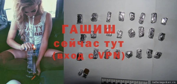 индика Переславль-Залесский