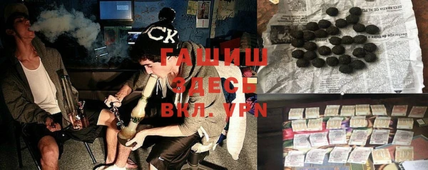 индика Переславль-Залесский