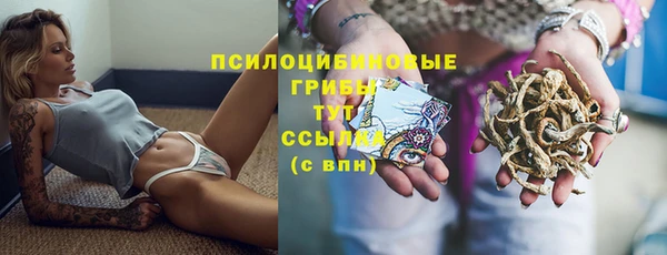 герыч Осташков