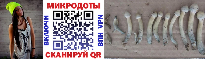 Псилоцибиновые грибы ЛСД Пойковский